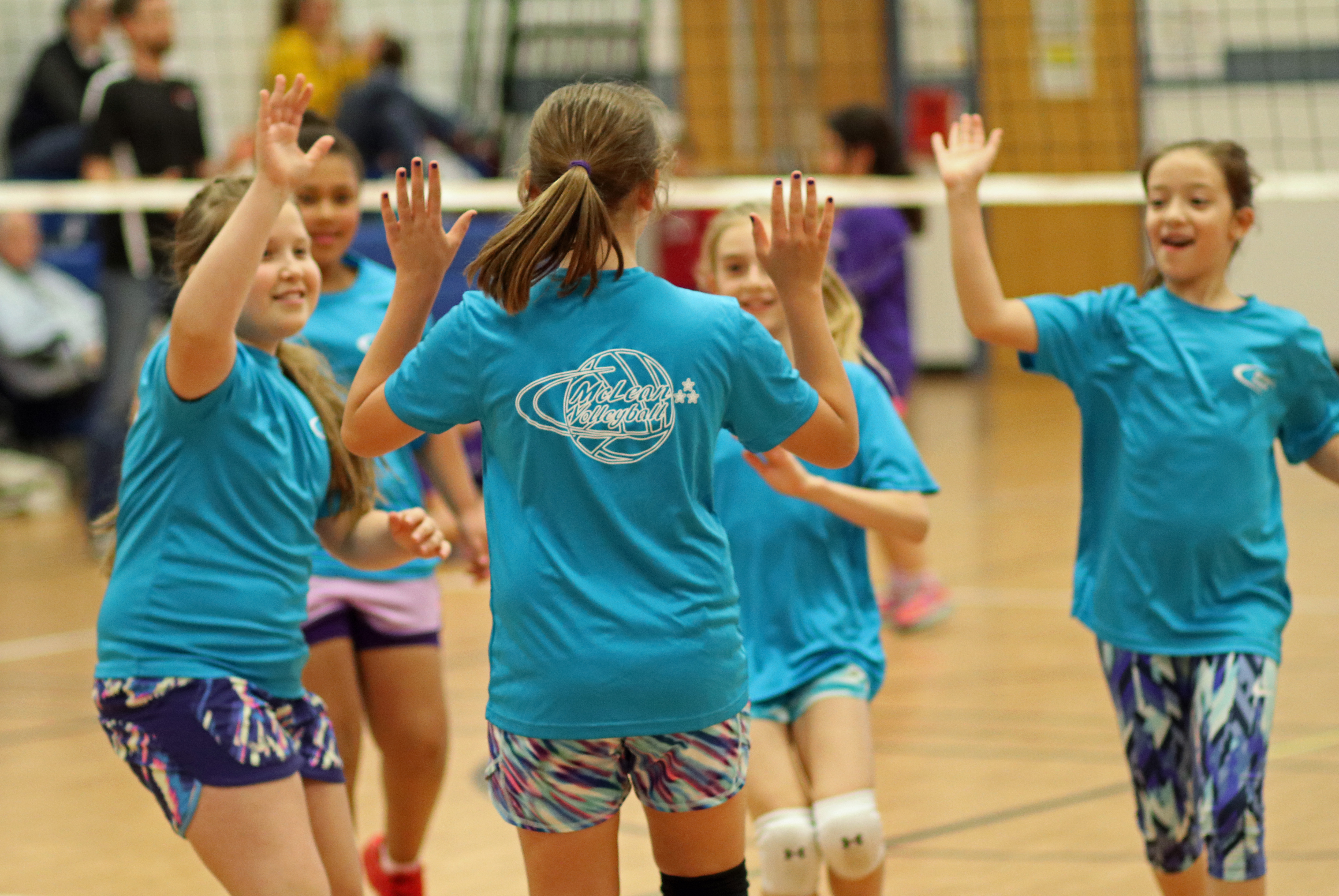 Volleyball